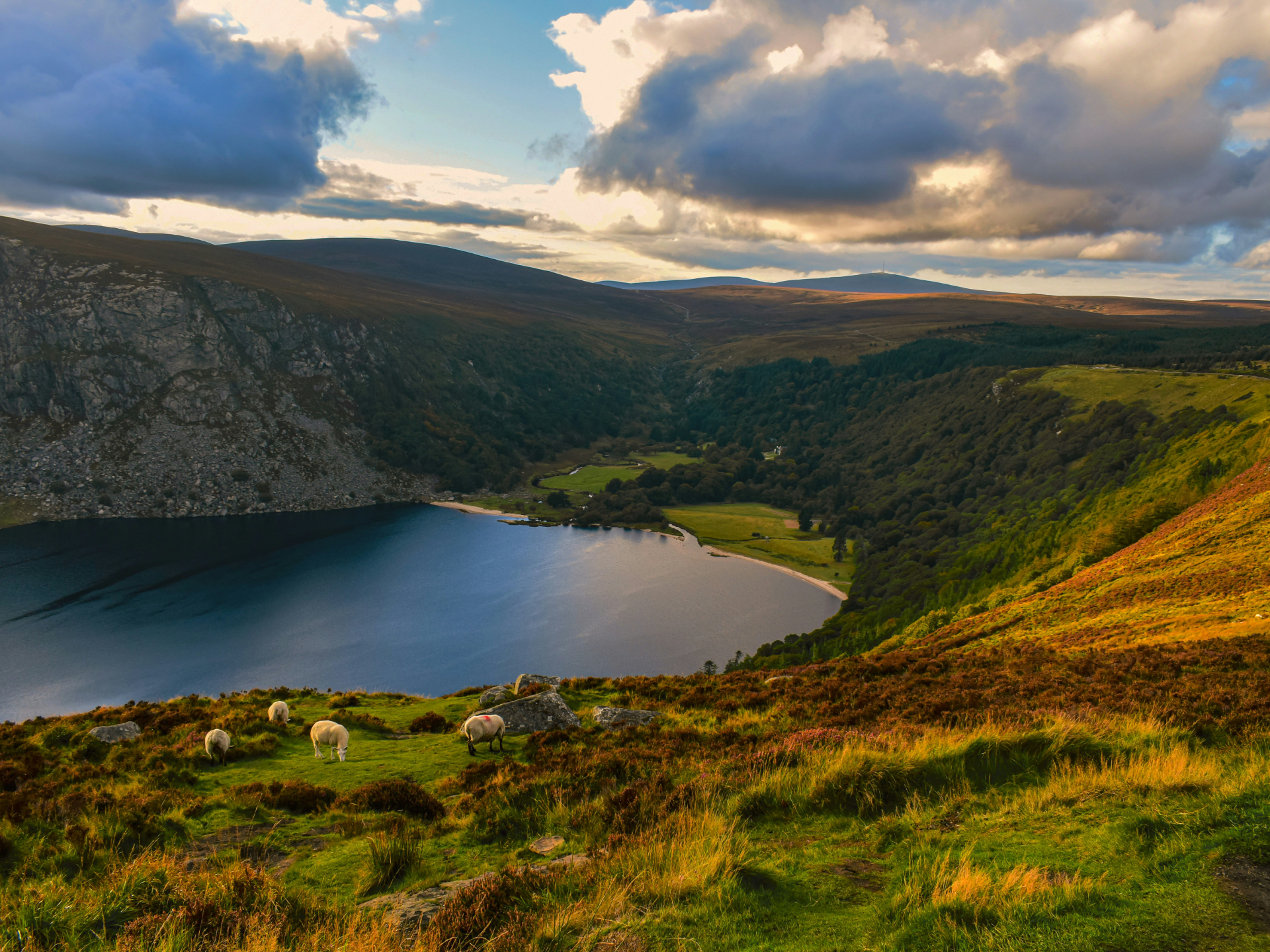 Wicklow Mountains