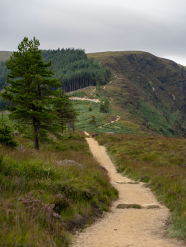 Valley walk